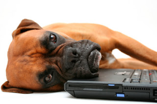 Illustration for article titled So I just realized that the Internet is exhausting...